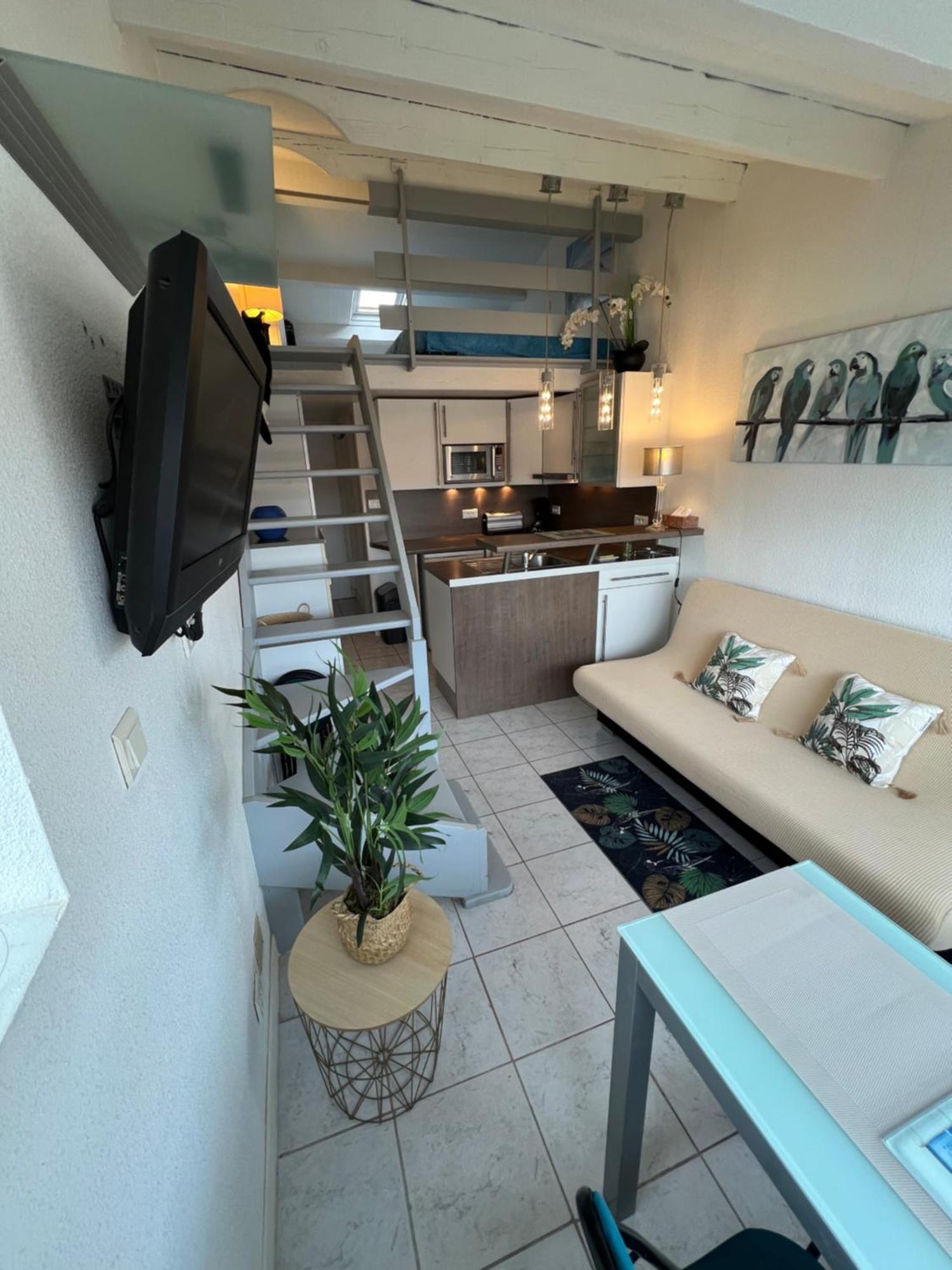 Agrandi Mezzanine 824 - Village Naturiste Appartement *